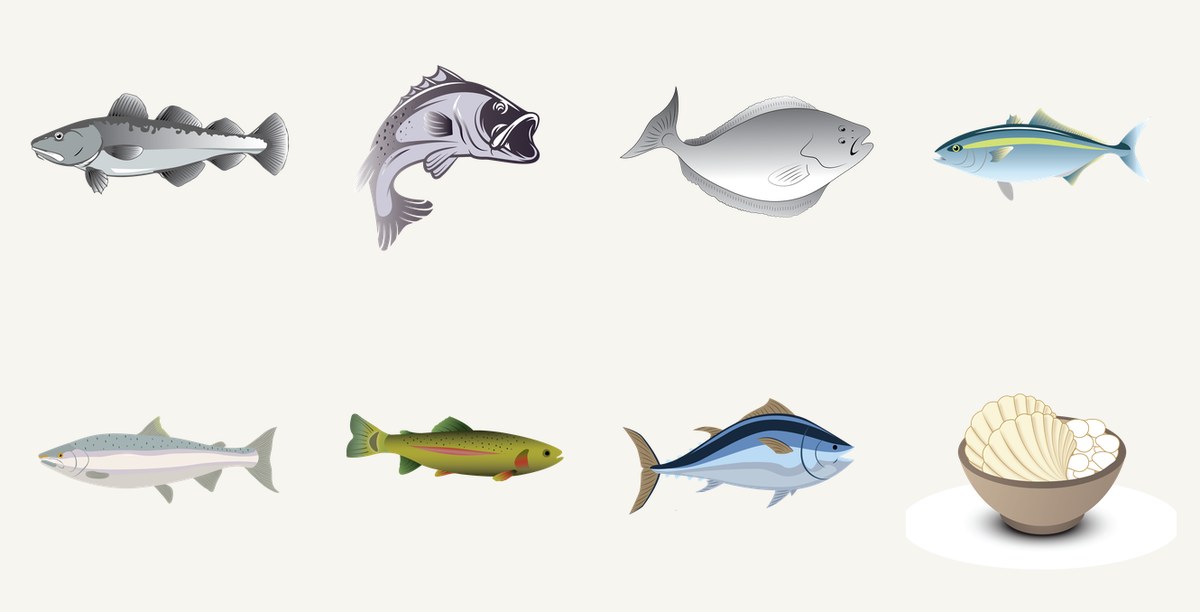 The illustrated fish library